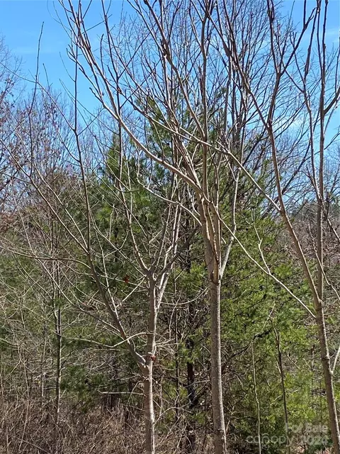 Double Eagle Drive, Nebo, NC 28761 photo 19