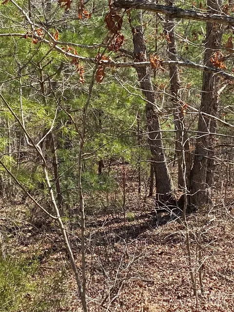 Double Eagle Drive, Nebo, NC 28761 photo 11