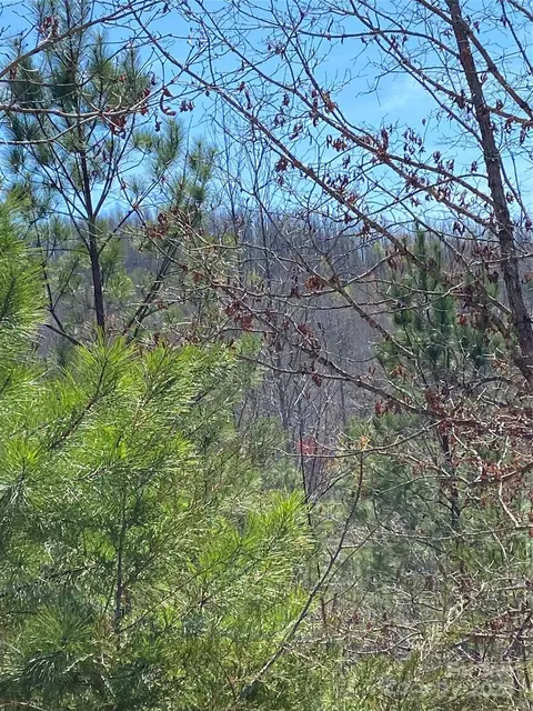 Double Eagle Drive, Nebo, NC 28761 photo 12