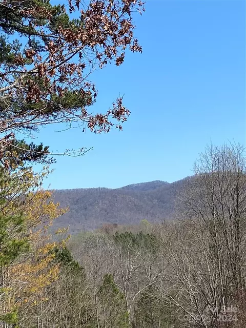 Double Eagle Drive, Nebo, NC 28761
