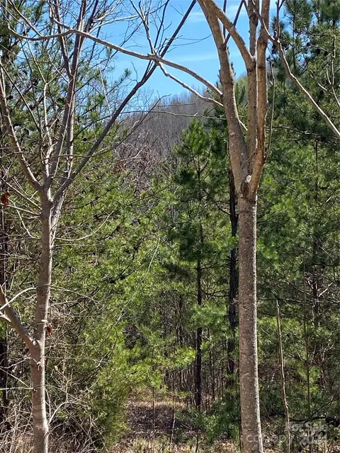 Double Eagle Drive, Nebo, NC 28761 photo 15