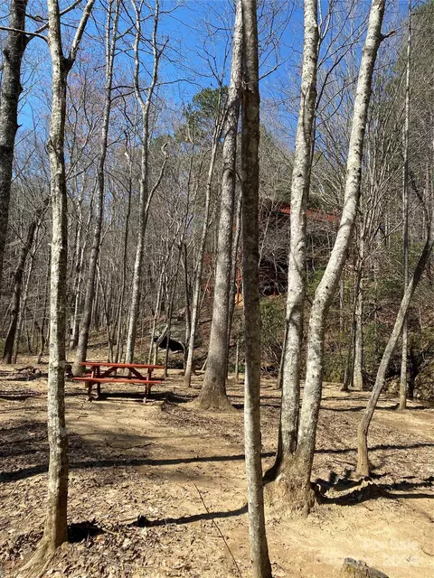 Double Eagle Drive, Nebo, NC 28761 photo 22