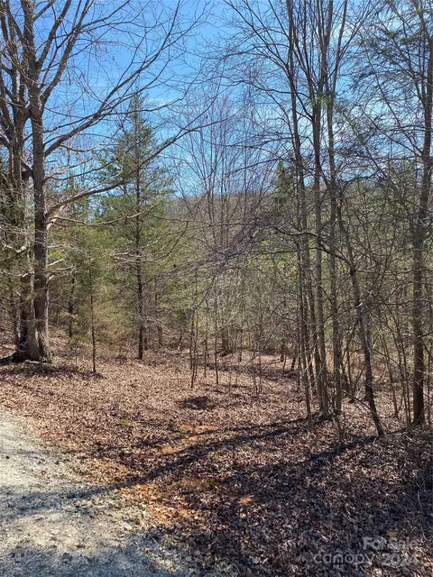 Double Eagle Drive, Nebo, NC 28761 photo 5