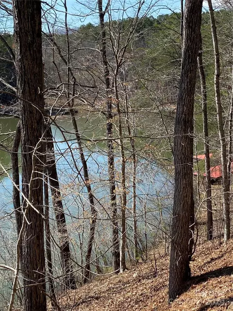 Double Eagle Drive, Nebo, NC 28761 photo 34