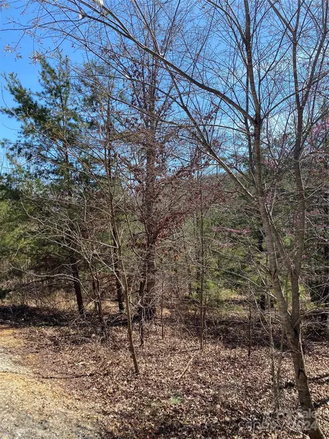 Double Eagle Drive, Nebo, NC 28761 photo 7