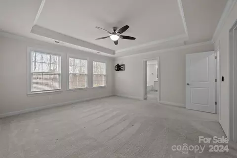 Other - 15741 Queens Trail Dr, Davidson, NC 28036 photo 9 of 12