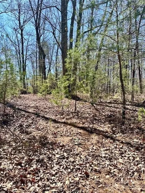 2 Lynn Mountain Rd, Vale, NC 28168 photo 4