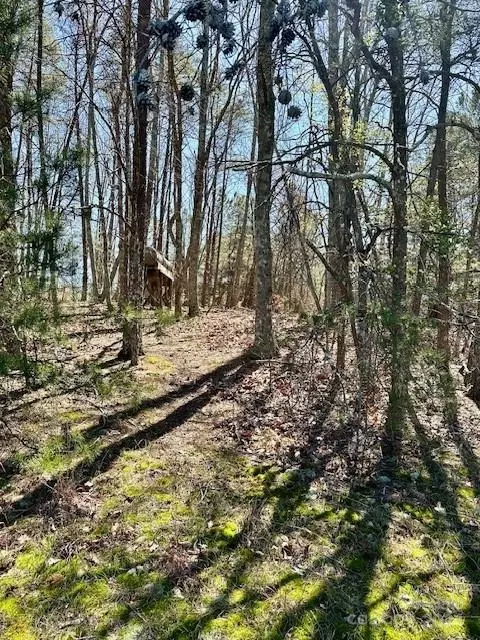 2 Lynn Mountain Rd, Vale, NC 28168 photo 13