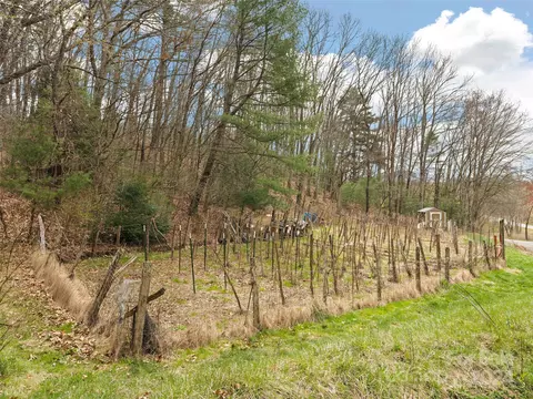 View/Area - 2599 Thickety Rd, Clyde, NC 28721 photo 1 of 1