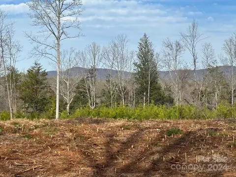 0000 Collins Rd, Bostic, NC 28018 photo 8