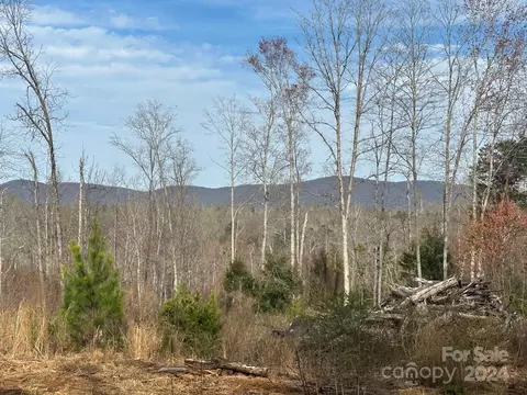 0000 Collins Rd, Bostic, NC 28018 photo 14