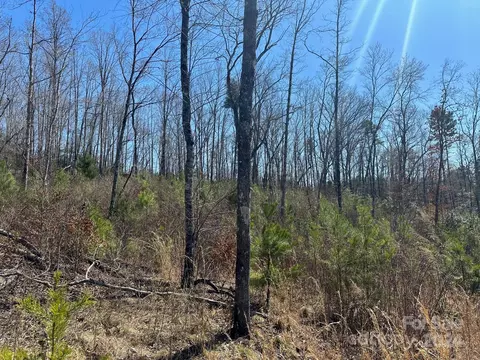 0000 Collins Rd, Bostic, NC 28018 photo 10