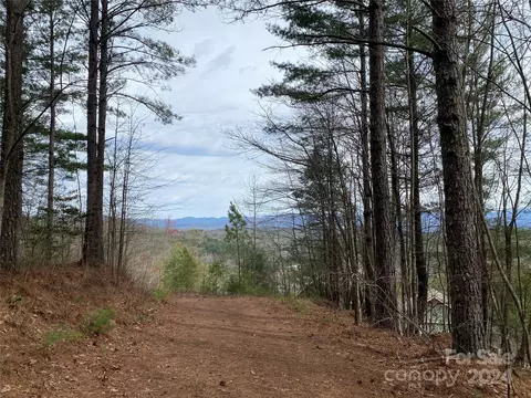 Choctaw Ridge Trail, Murphy, NC 31258
