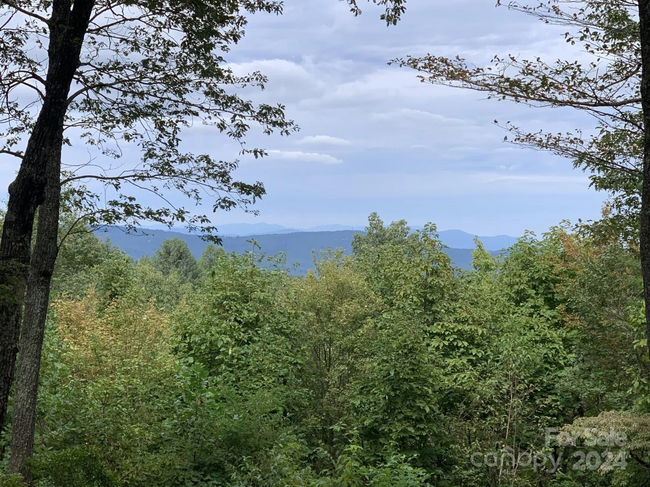 Wild Magnolia 35 Way Unit 35