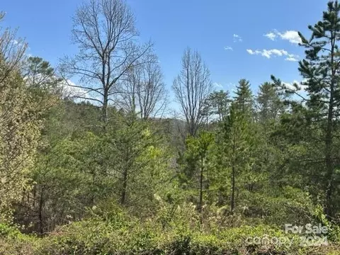 78 Homestead Ridge Rd, Weaverville, NC 28787