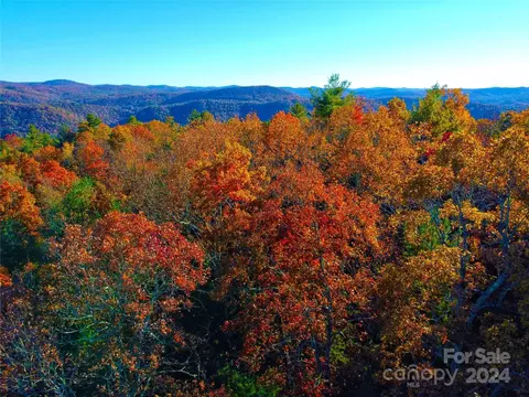 Dogwood Lane, Penrose, NC 28766
