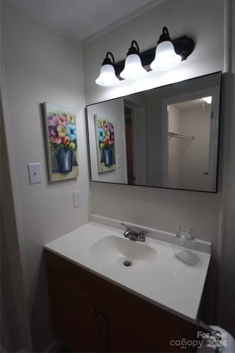Bath - 8810 Spring Meadow Dr, Hickory, NC 28601 photo 2 of 5