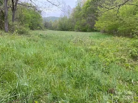 547 Long Branch Tract 2 Rd #TRACT 2, Marshall, NC 28753