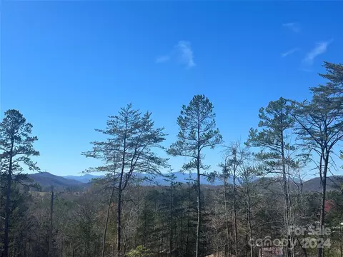 Gaddy S Road, Marion, NC 28752