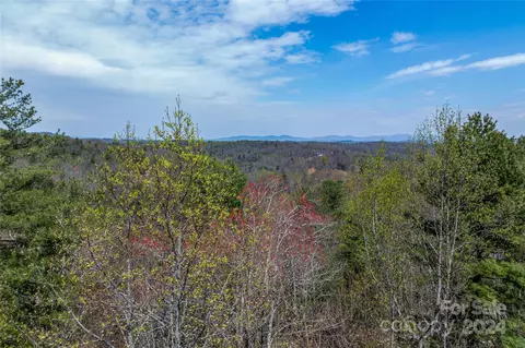46 Creek Source Ln, Saluda, NC 28773 photo 18