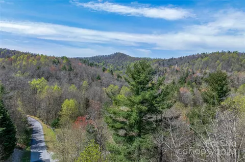 46 Creek Source Ln, Saluda, NC 28773 photo 2
