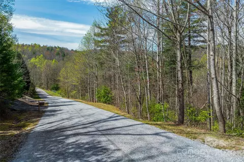 46 Creek Source Ln, Saluda, NC 28773 photo 10