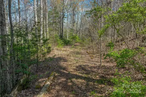 46 Creek Source Ln, Saluda, NC 28773 photo 4