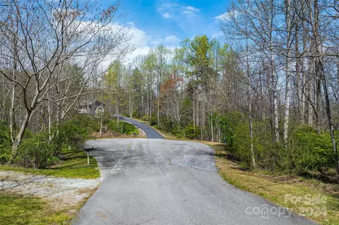 46 Creek Source Ln, Saluda, NC 28773 photo 7