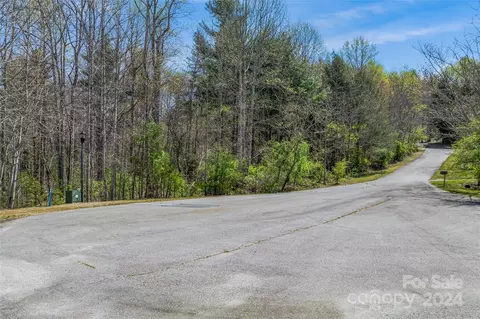 46 Creek Source Ln, Saluda, NC 28773 photo 19