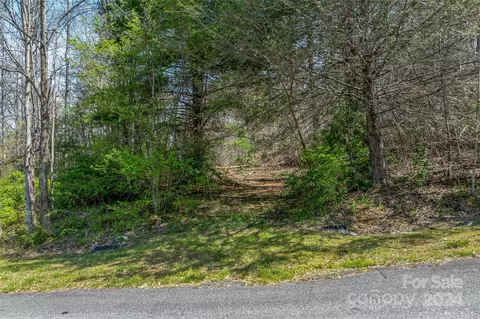 46 Creek Source Ln, Saluda, NC 28773 photo 11