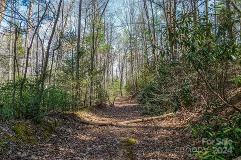 46 Creek Source Ln, Saluda, NC 28773 photo 13