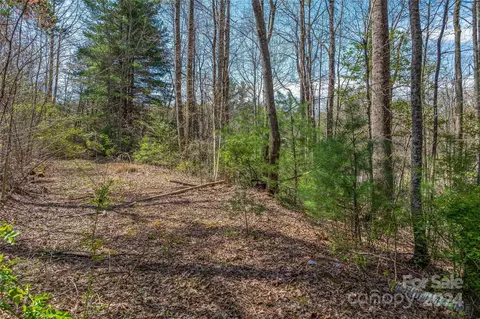 46 Creek Source Ln, Saluda, NC 28773 photo 17