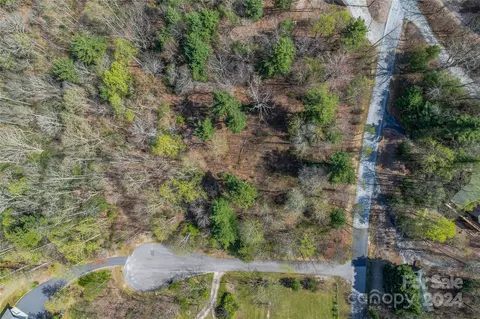 46 Creek Source Ln, Saluda, NC 28773 photo 20