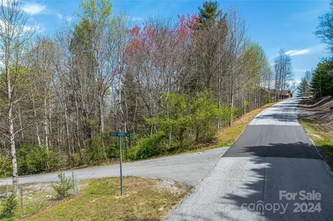 46 Creek Source Ln, Saluda, NC 28773 photo 3