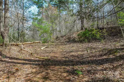 46 Creek Source Ln, Saluda, NC 28773 photo 5