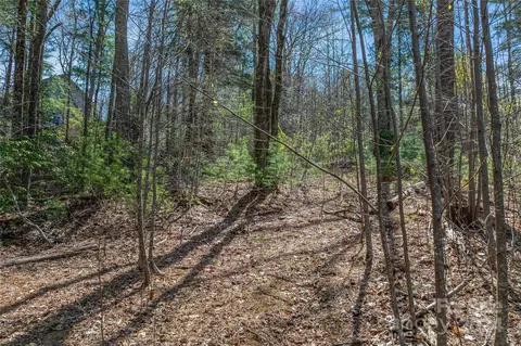 46 Creek Source Ln, Saluda, NC 28773 photo 16