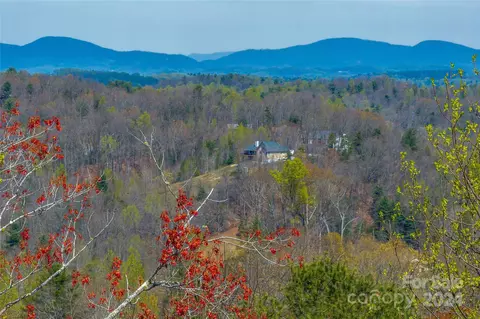 46 Creek Source Ln, Saluda, NC 28773 photo 12