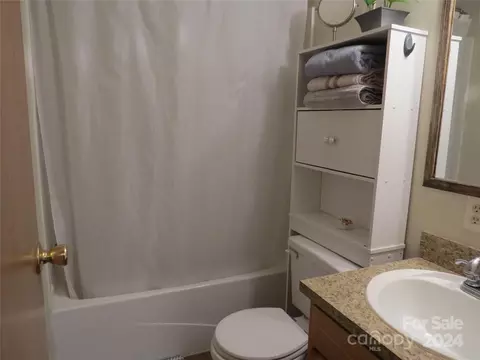 Bath - 173 Cedarvale Dr, Harmony, NC 28634 photo 3 of 3