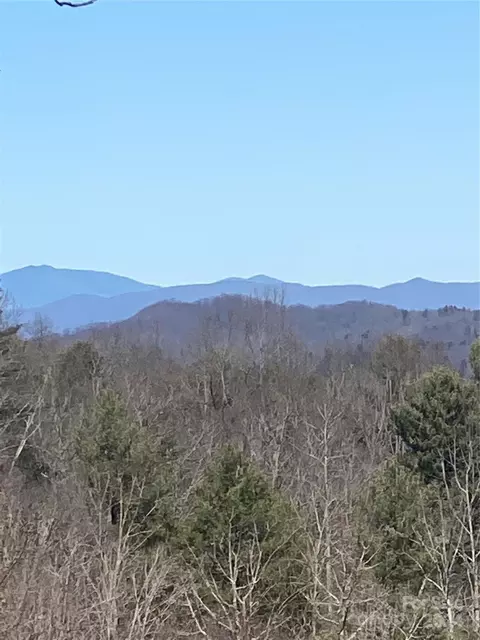 000 Pleasant Grove Church Rd, Hendersonville, NC 28729