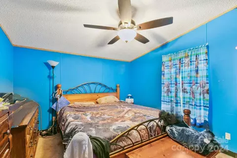 3 Star Flower Rd, Alexander, NC 28701 photo 10