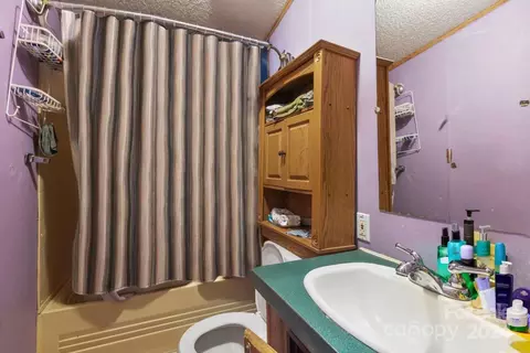 3 Star Flower Rd, Alexander, NC 28701 photo 5