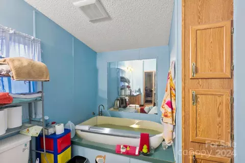 3 Star Flower Rd, Alexander, NC 28701 photo 7