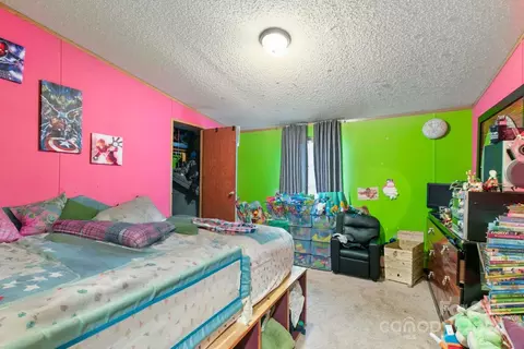 3 Star Flower Rd, Alexander, NC 28701 photo 9