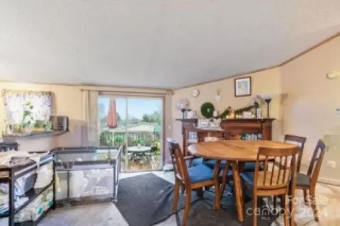 3 Star Flower Rd, Alexander, NC 28701 photo 12