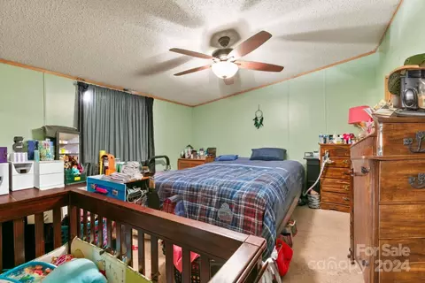 3 Star Flower Rd, Alexander, NC 28701 photo 8