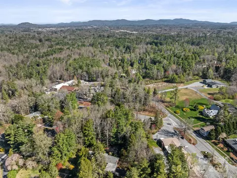 View/Area - 10 Memminger Dr, Flat Rock, NC 28731 photo 5 of 8