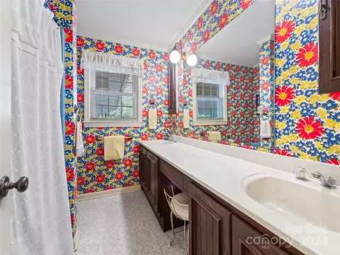 Bath - 10 Memminger Dr, Flat Rock, NC 28731 photo 2 of 2