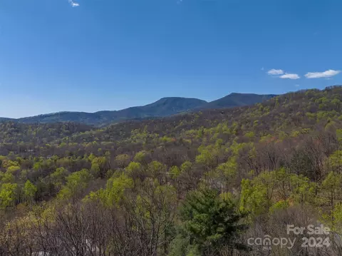 View/Area - 12 E Park Dr, Tryon, NC 28782 photo 4 of 5