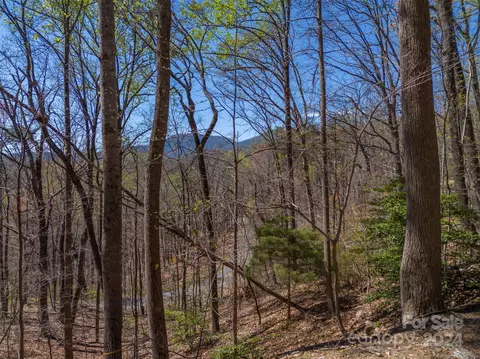 View/Area - 12 E Park Dr, Tryon, NC 28782 photo 1 of 5