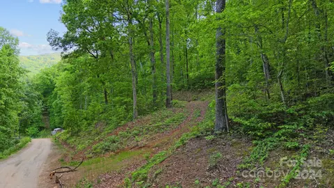 99999 Dillingham Estates Trl, Swannanoa, NC 28778